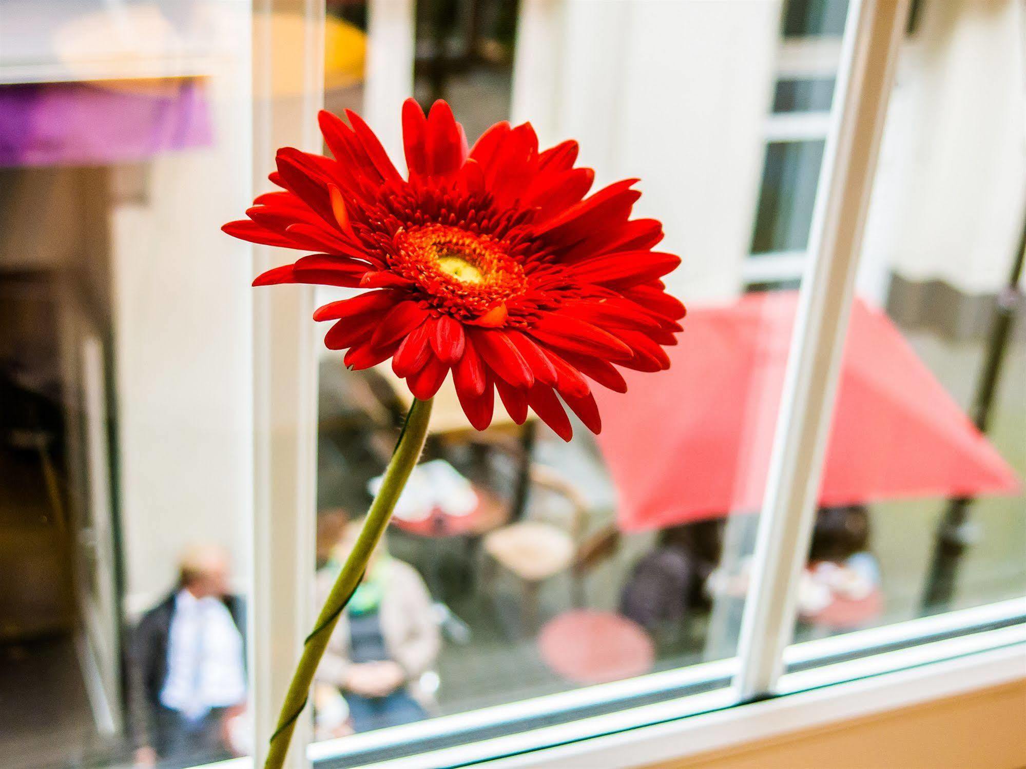 The Soho Altstadt Hotel Dusseldorf Ngoại thất bức ảnh